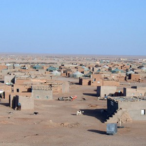 Zentrum für Europäische und Orientalische Kultur | ZEOK e.V. | Westsahara Siedlung