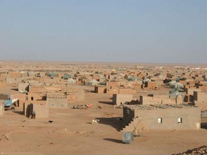 Westsahara Entwicklungspolitik & Völkerrecht